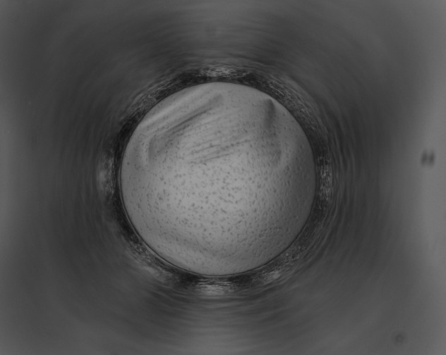 X0000095530510200801041249