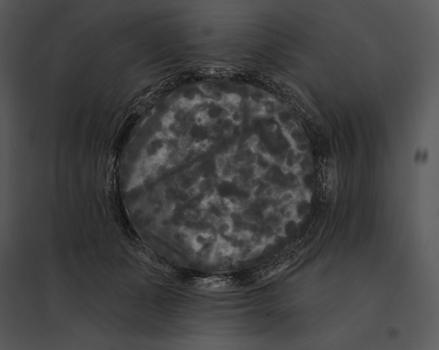 X0000095530511200801041249