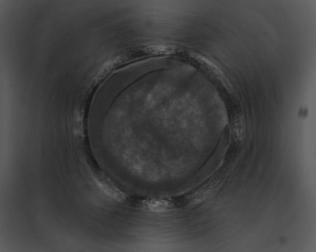 X0000095530512200801041249