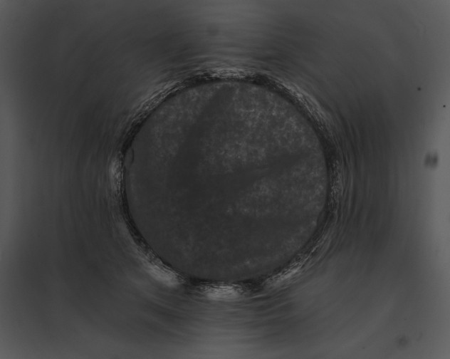 X0000095530513200801041249