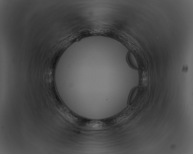 X0000095530514200801041249