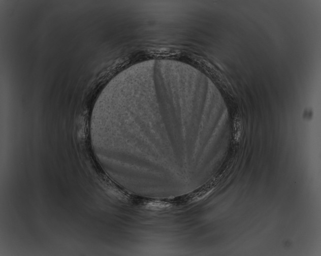 X0000095530515200801041249