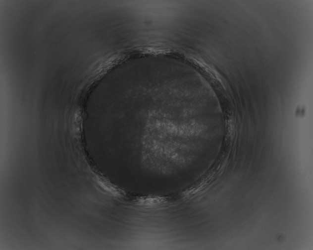 X0000095530517200801041249