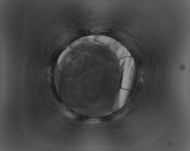 X0000095530519200801041249