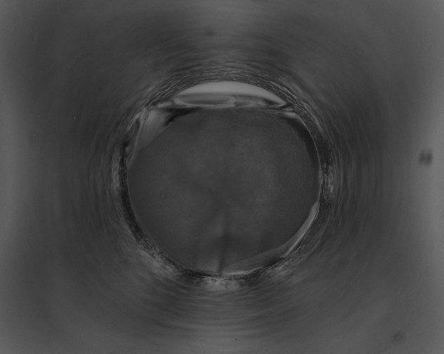 X0000095530520200801041249