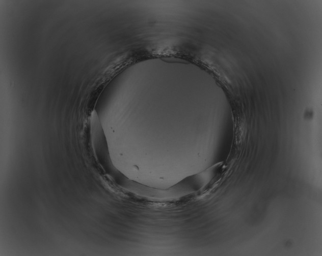 X0000095530521200801041249