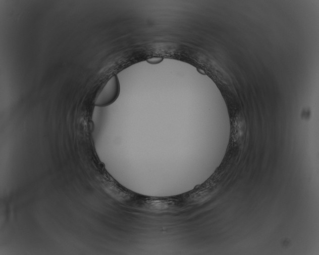 X0000095530522200801041249