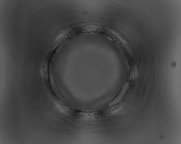 X0000095530524200801041249