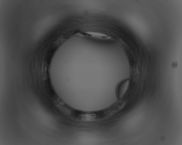 X0000095530525200801041249