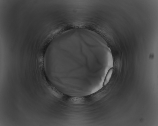 X0000095530526200801041249