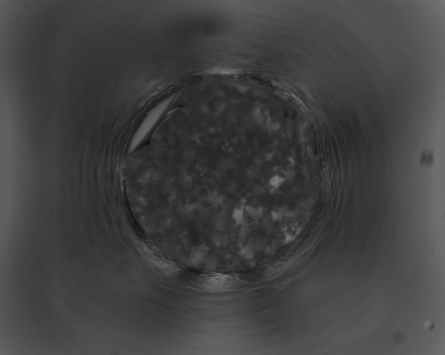 X0000095530527200801041249