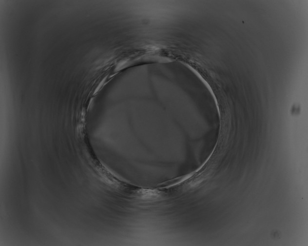 X0000095530528200801041249