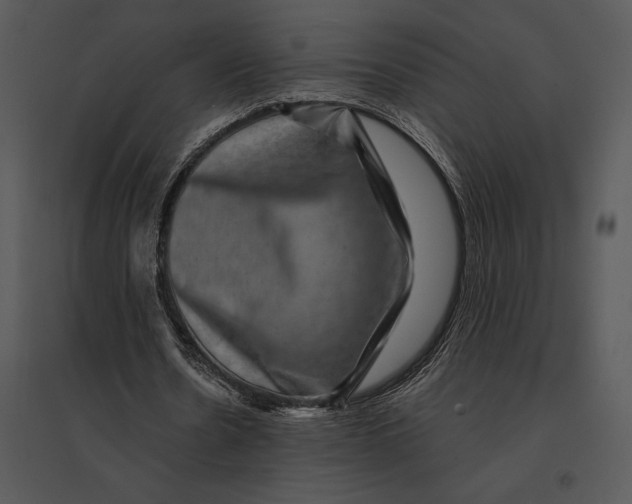 X0000095530530200801041248