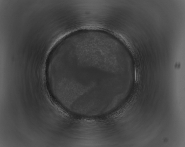 X0000095530531200801041248