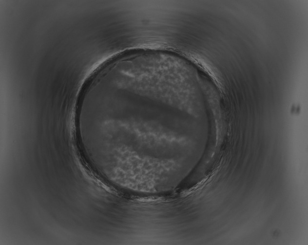 X0000095530532200801041248