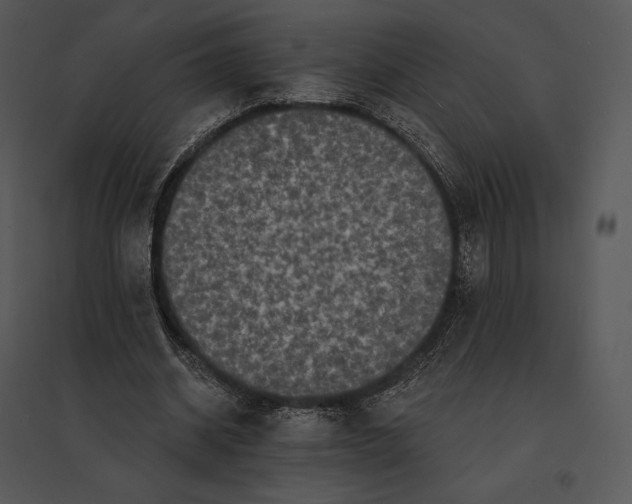 X0000095530534200801041248