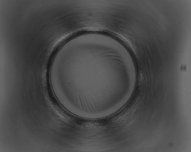 X0000095530535200801041248