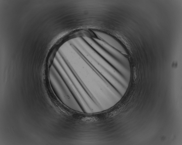 X0000095530536200801041248