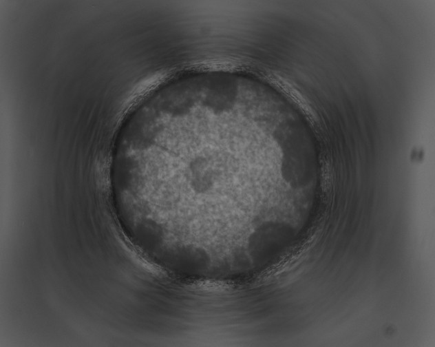 X0000095530537200801041248