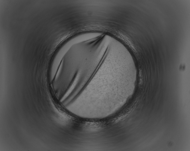 X0000095530538200801041248