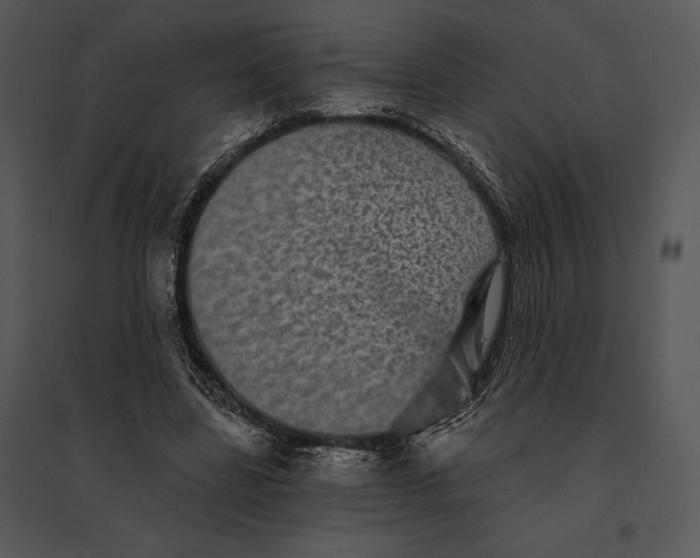 X0000095530539200801041248