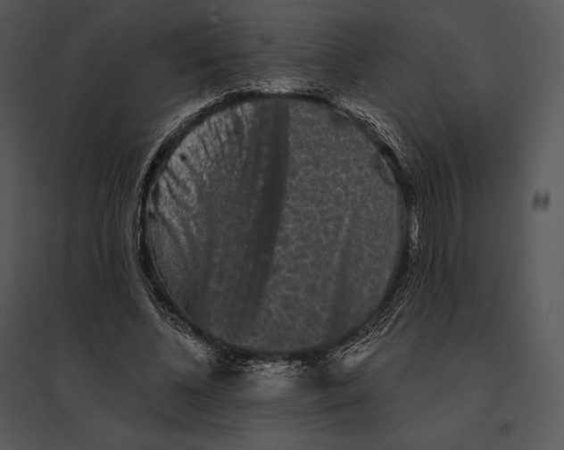 X0000095530540200801041248