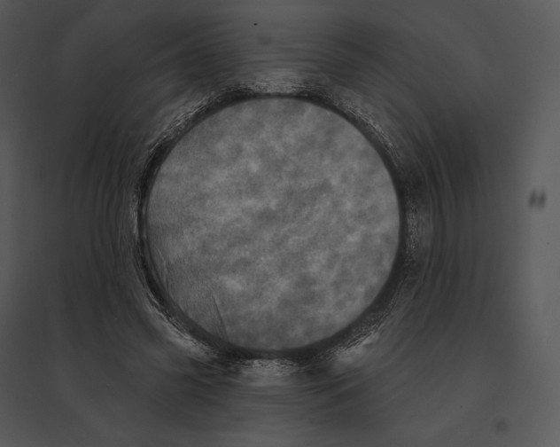 X0000095530541200801041248