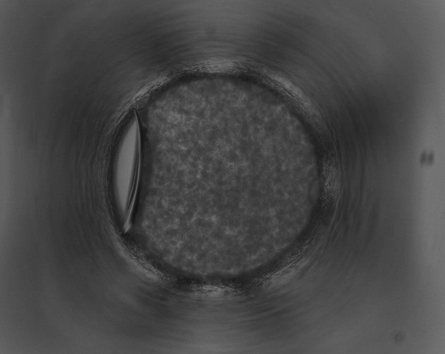 X0000095530542200801041248