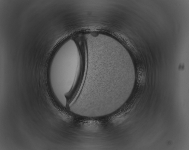 X0000095530543200801041248