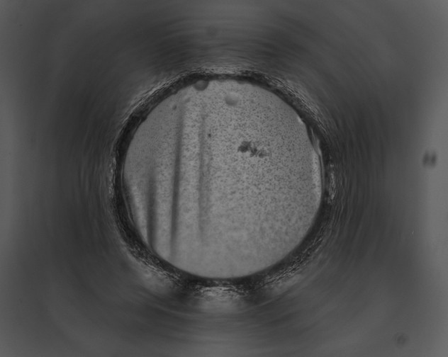 X0000095530544200801041248