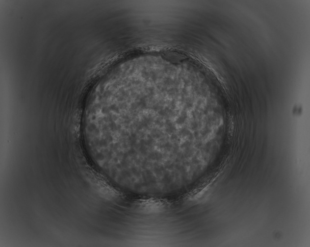 X0000095530545200801041248