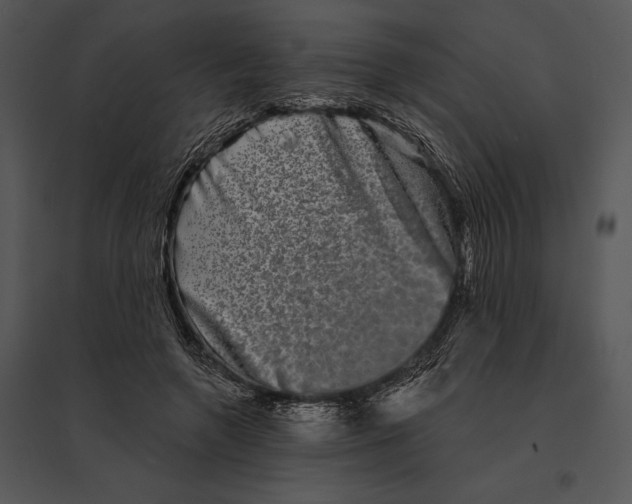 X0000095530546200801041248