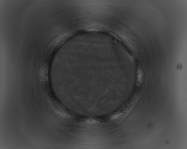 X0000095530547200801041248