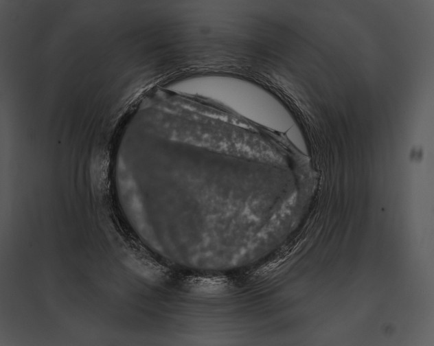 X0000095530548200801041248