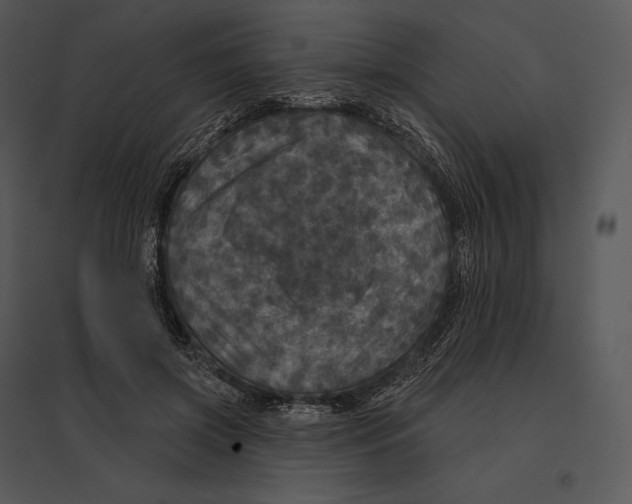 X0000095530549200801041248