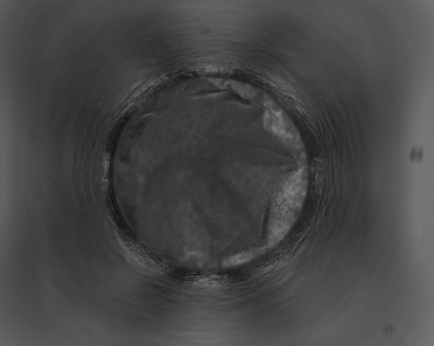 X0000095530550200801041248