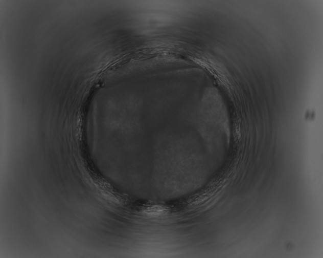 X0000095530551200801041249