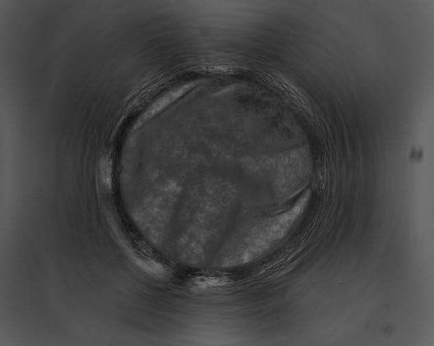 X0000095530552200801041249