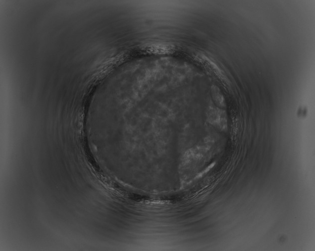 X0000095530553200801041249