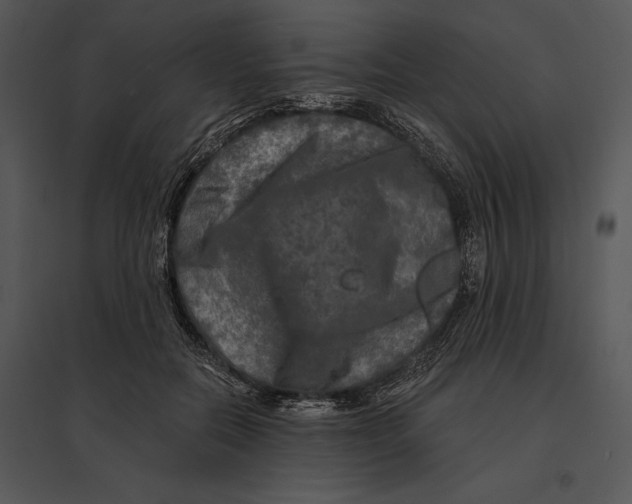 X0000095530554200801041249