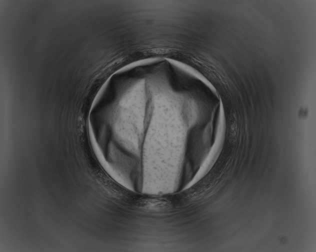 X0000095530555200801041249