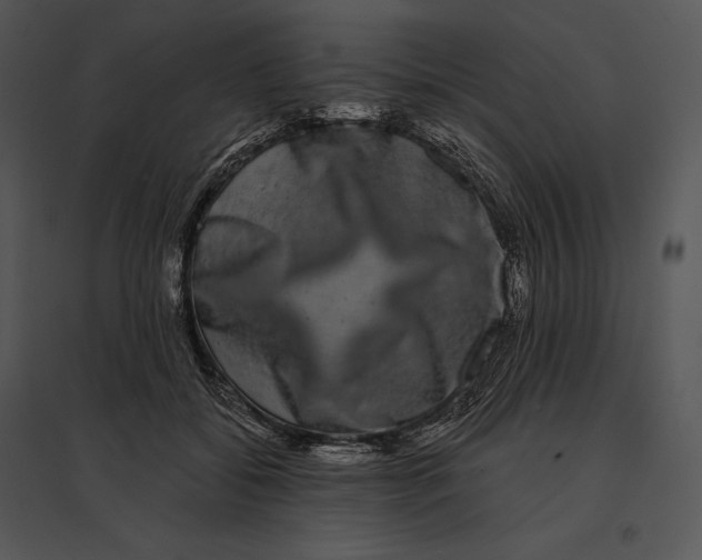 X0000095530556200801041249