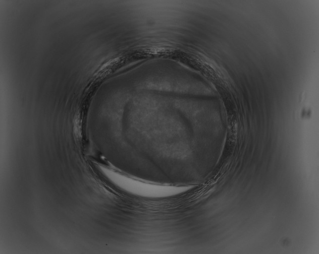 X0000095530558200801041249