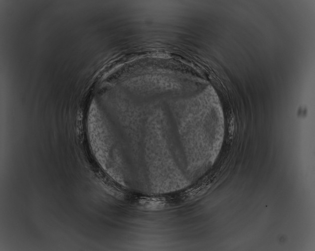 X0000095530559200801041249