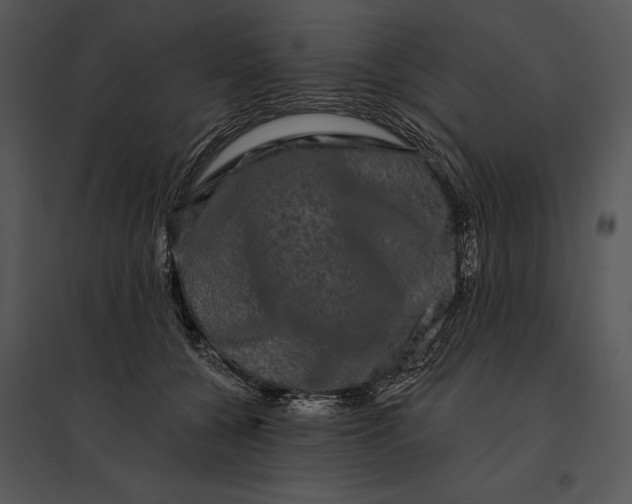 X0000095530560200801041249