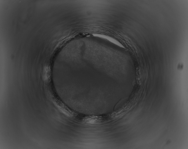 X0000095530563200801041249