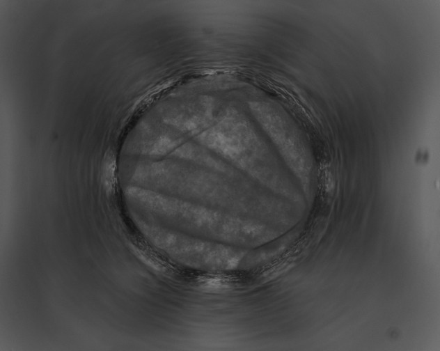 X0000095530564200801041249