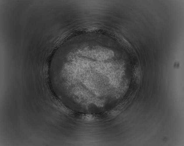 X0000095530565200801041249