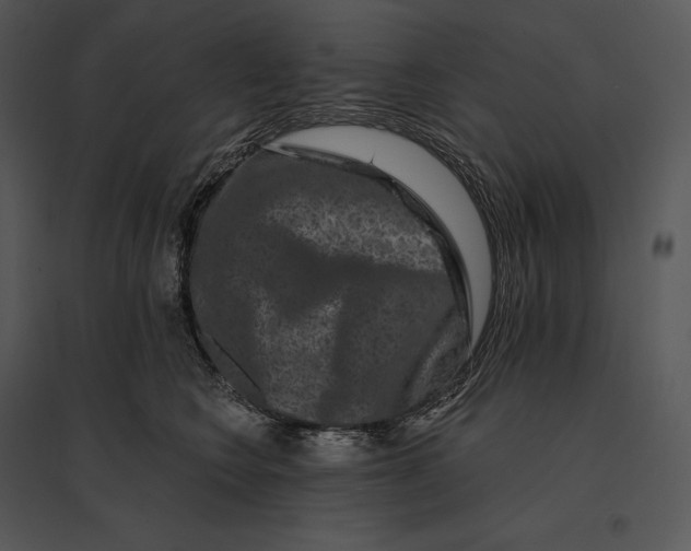 X0000095530566200801041249