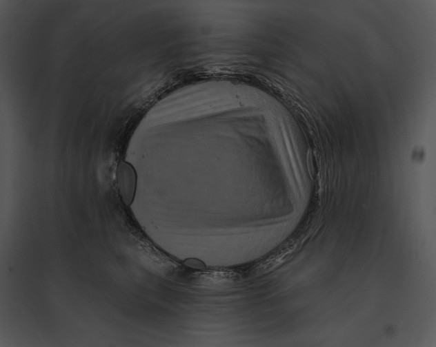 X0000095530567200801041249